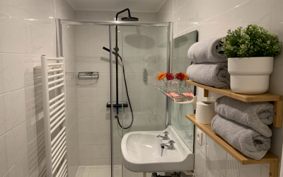 De badkamers in La Fleur et le Soleil zijn modern ingericht / Les salles de bain de La Fleur et le Soleil sont modernes